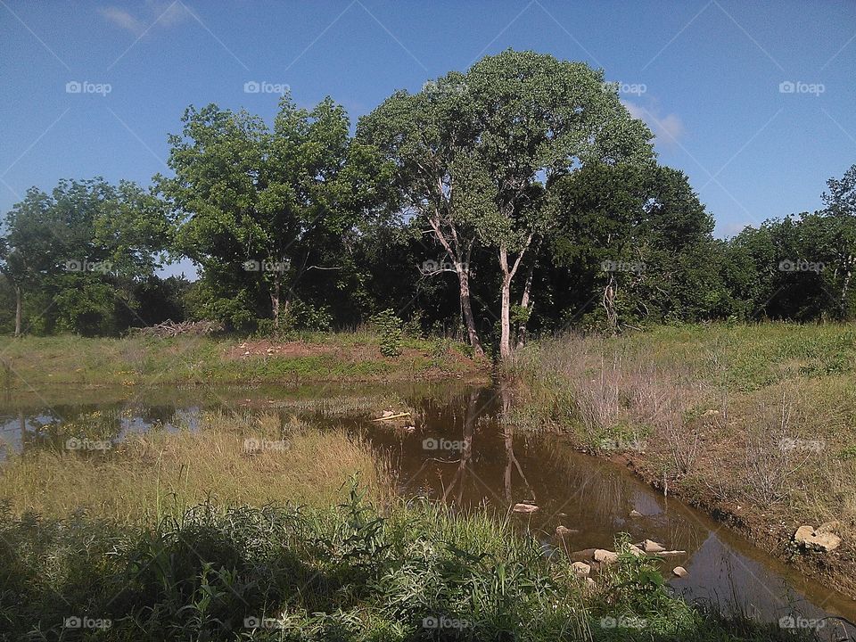 fishing pond. this is a cool spot where i fish for catfish