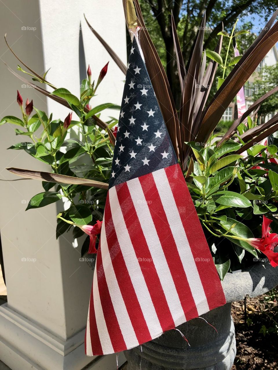 Fourth of July American Independence Day flag summer flowers front porch container plants 4th of July celebration Mandevilla 