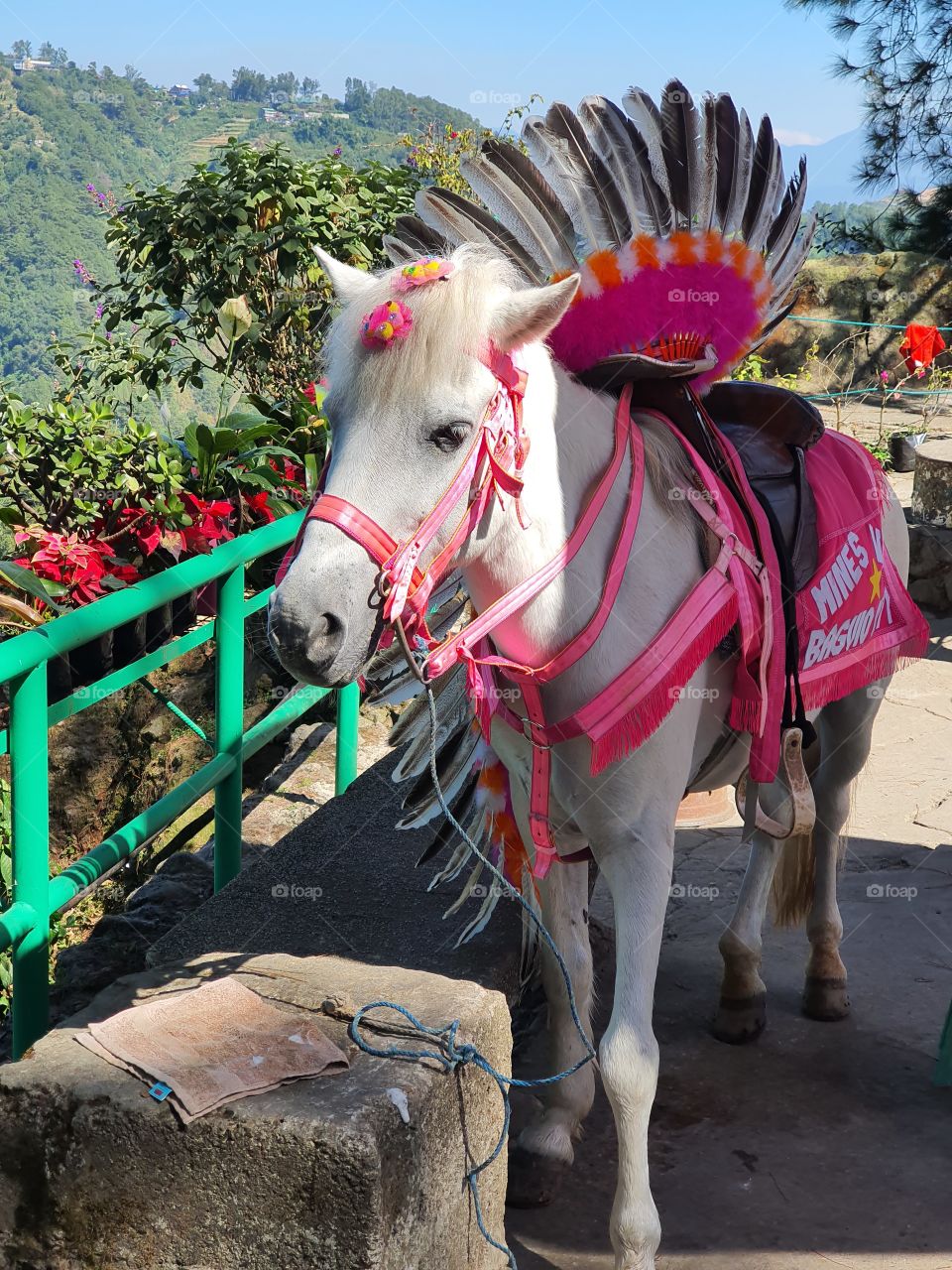 I am beautiful, no matter what they say...