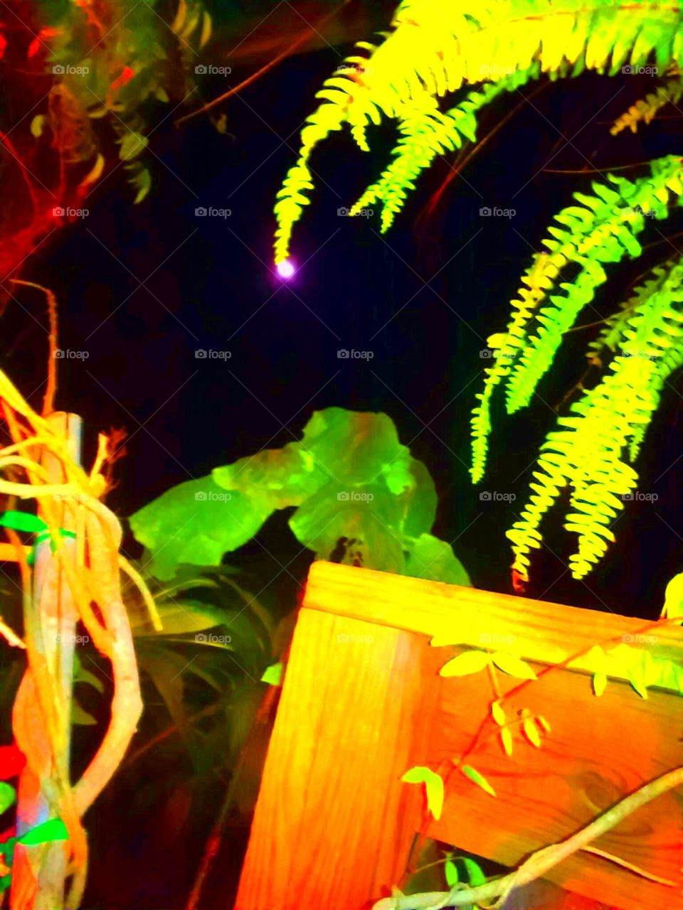 Different Kind Of Moon