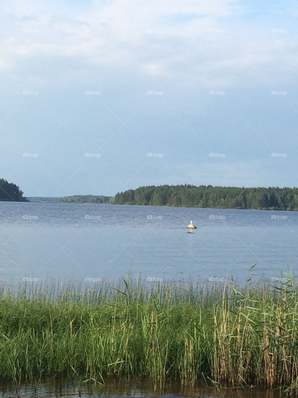Östa beach in Sweden