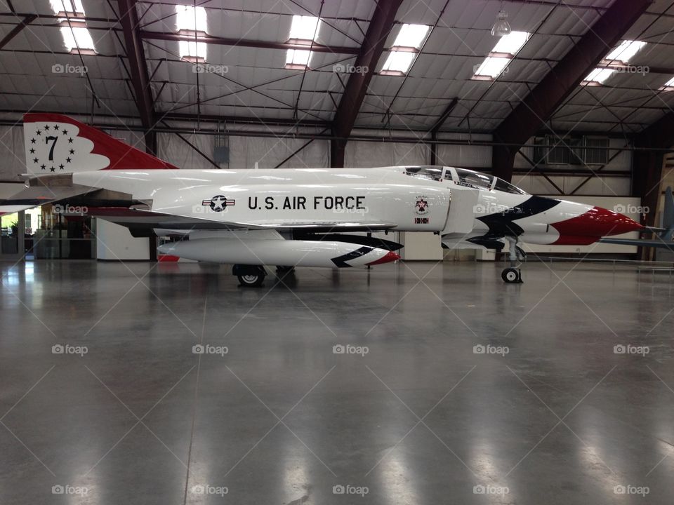 Bird. Thunderbird in Tucson 