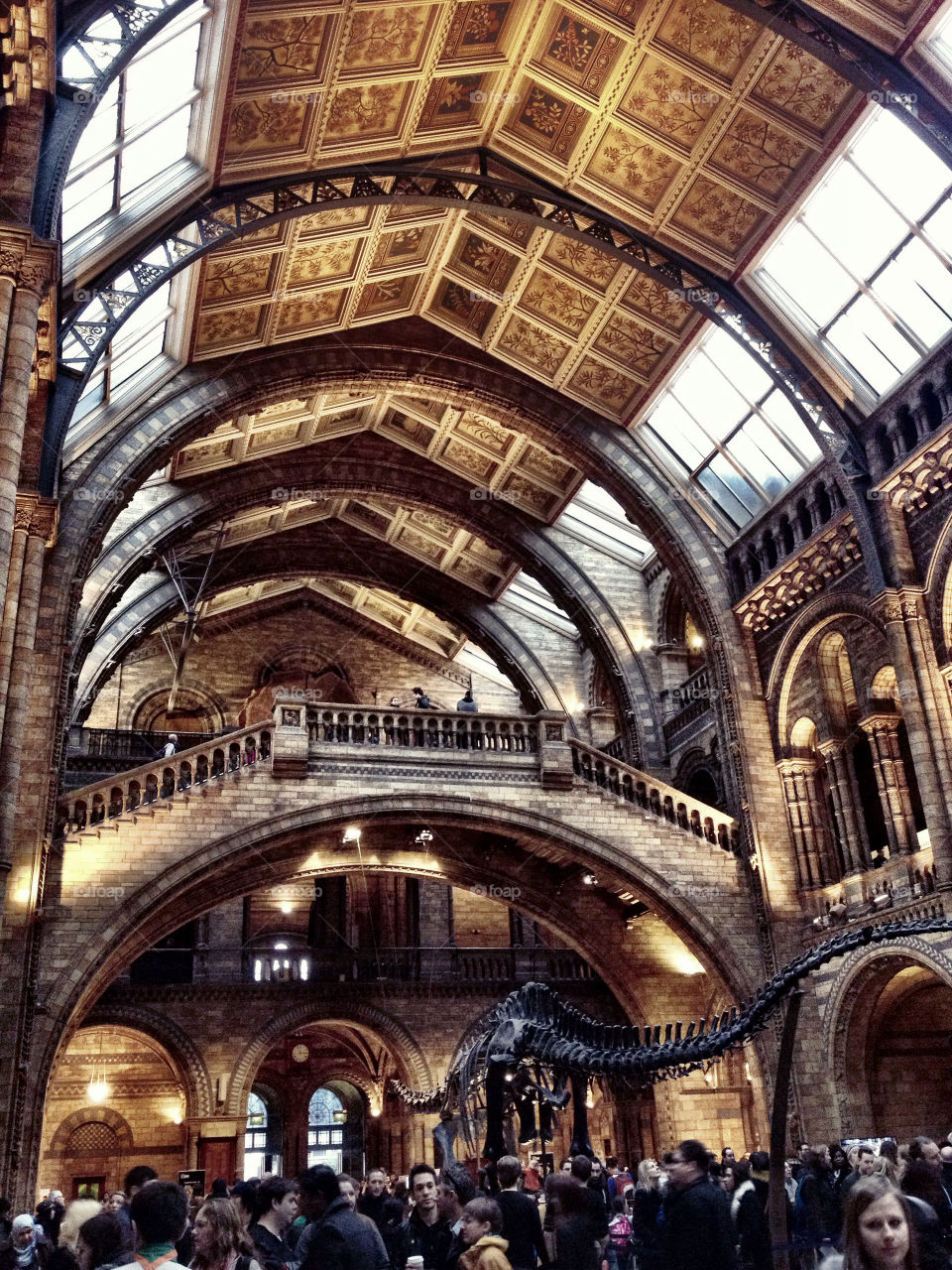 Natural history museum london, england