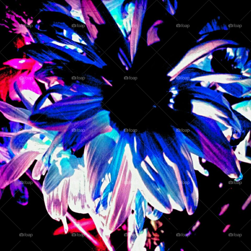 delightful. lighting effects