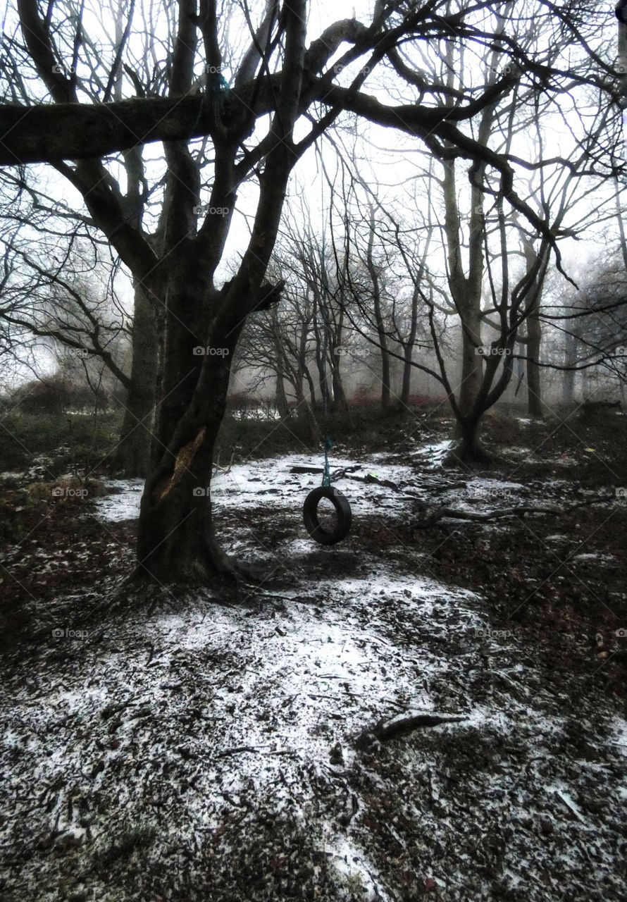 Dark scottish winter forrest with tire swing