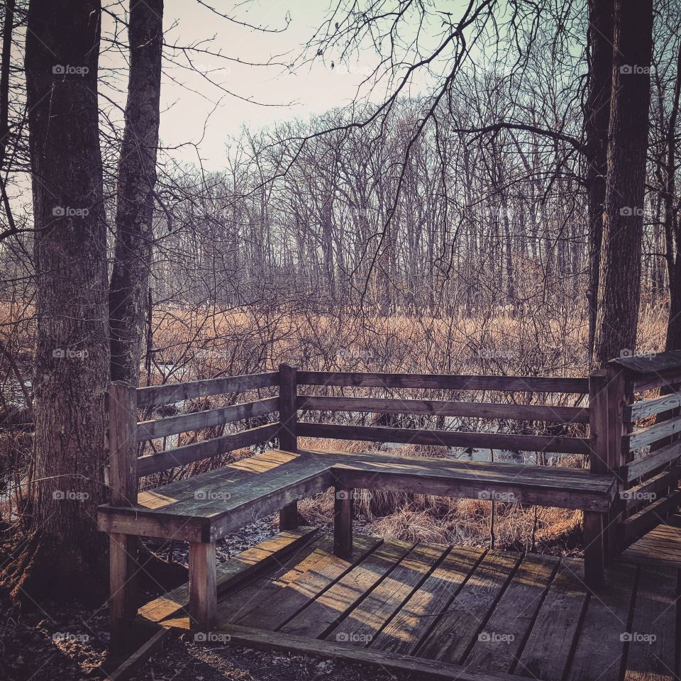 Wood, Bench, No Person, Seat, Tree
