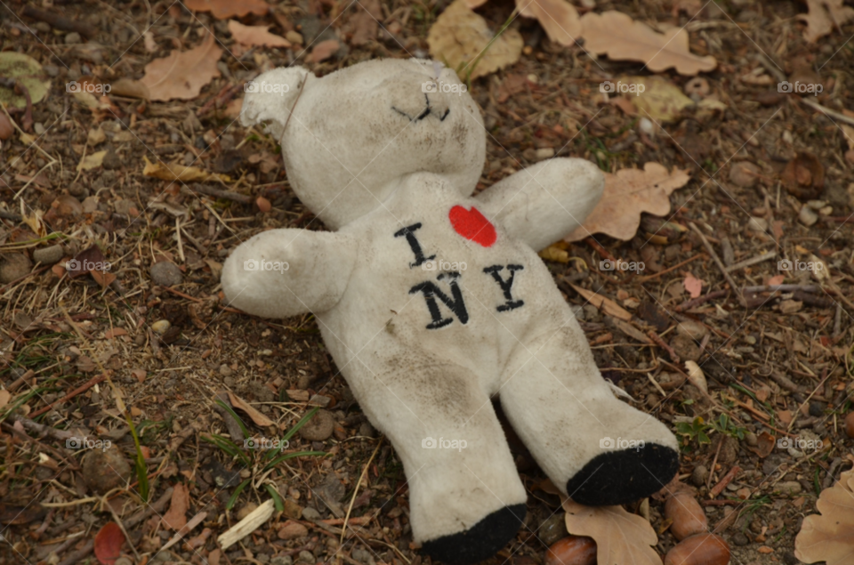 new york toy fall dirty by ibphotography