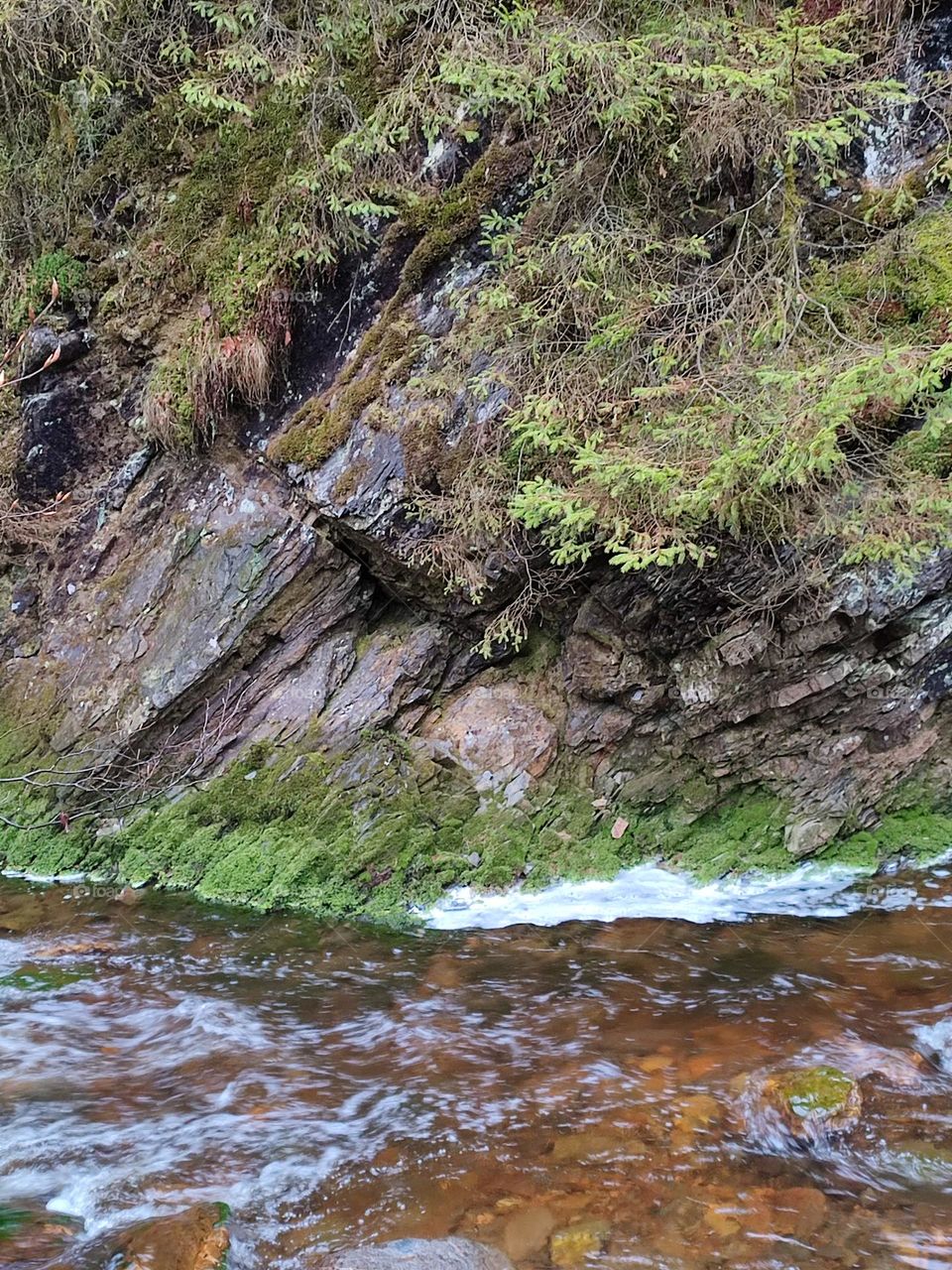 Walk in the woods, Bayehon waterfall