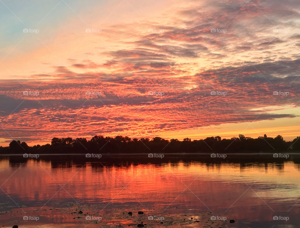 Dawn in the river 