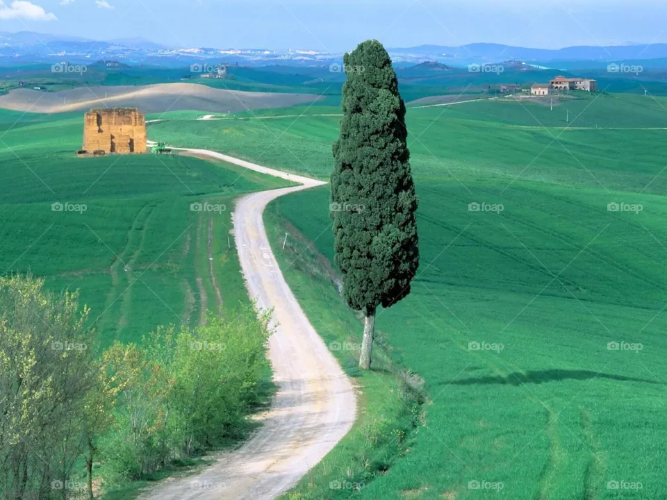 Horizon 