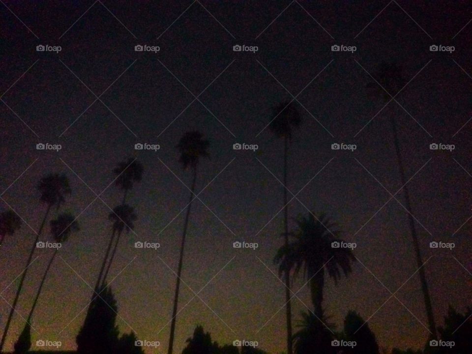 LA night sky 