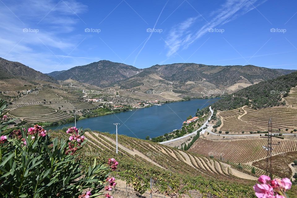 Douro vineyards