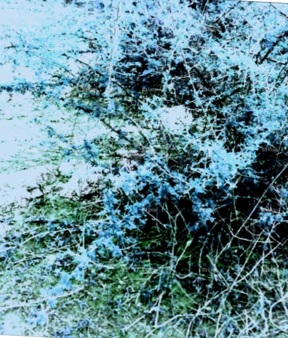 beautiful image