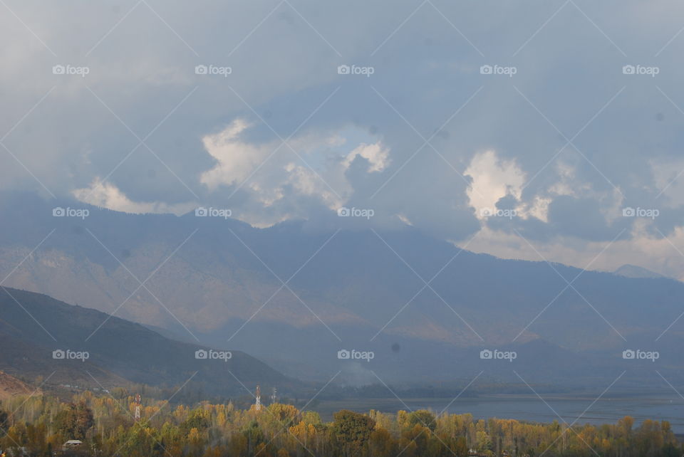 Landscape, Tree, Sky, Mountain, Fog