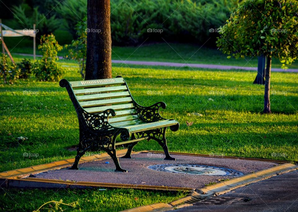 Green Bench