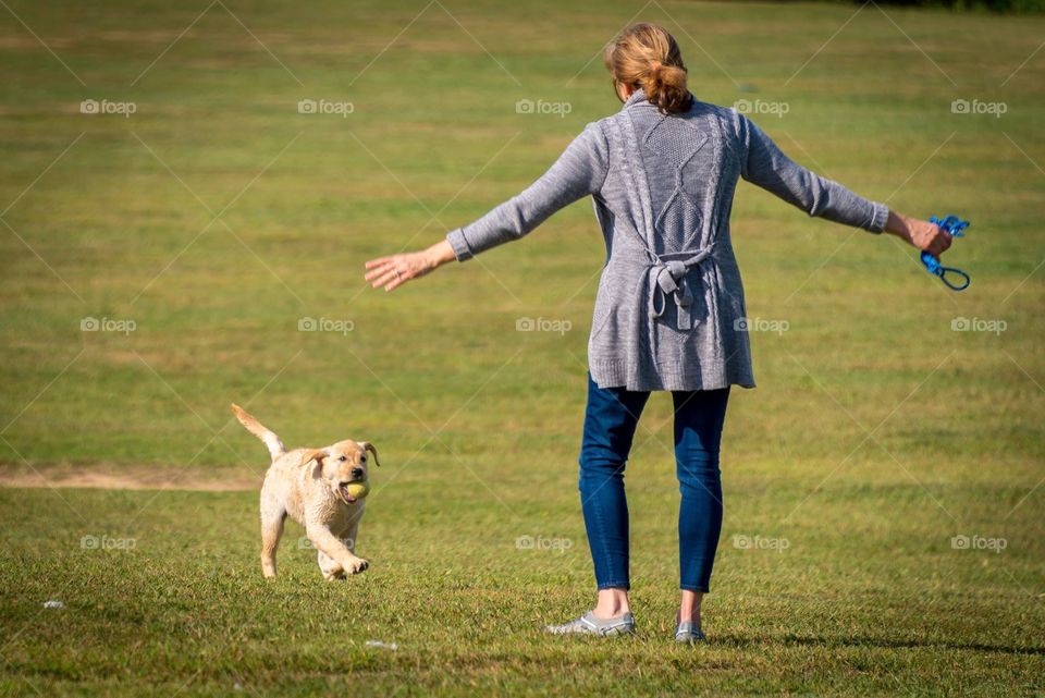 Puppy running to human mommy