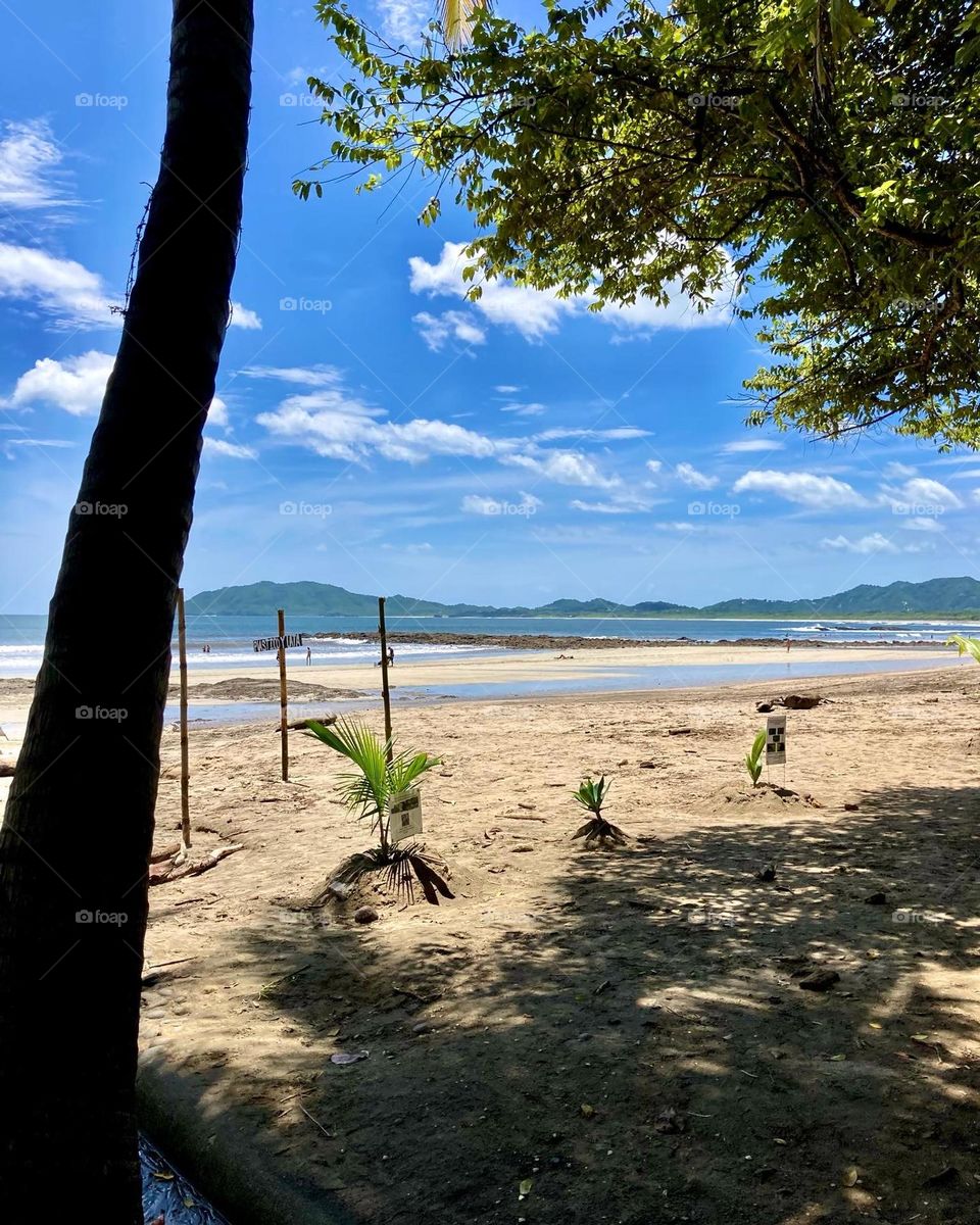 Tamarindo Beach in Costa Rica