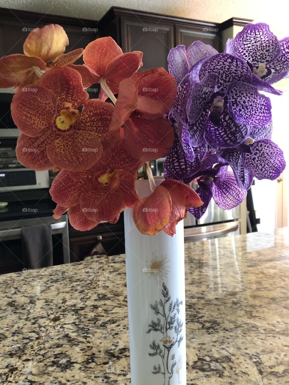 Orchids from the garden 