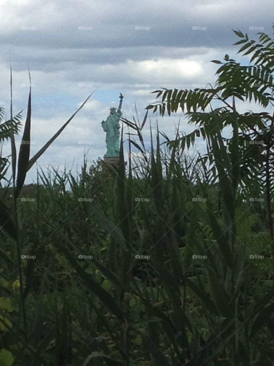 Statue of Liberty from Jersey. Marsh grass in forefront. 
