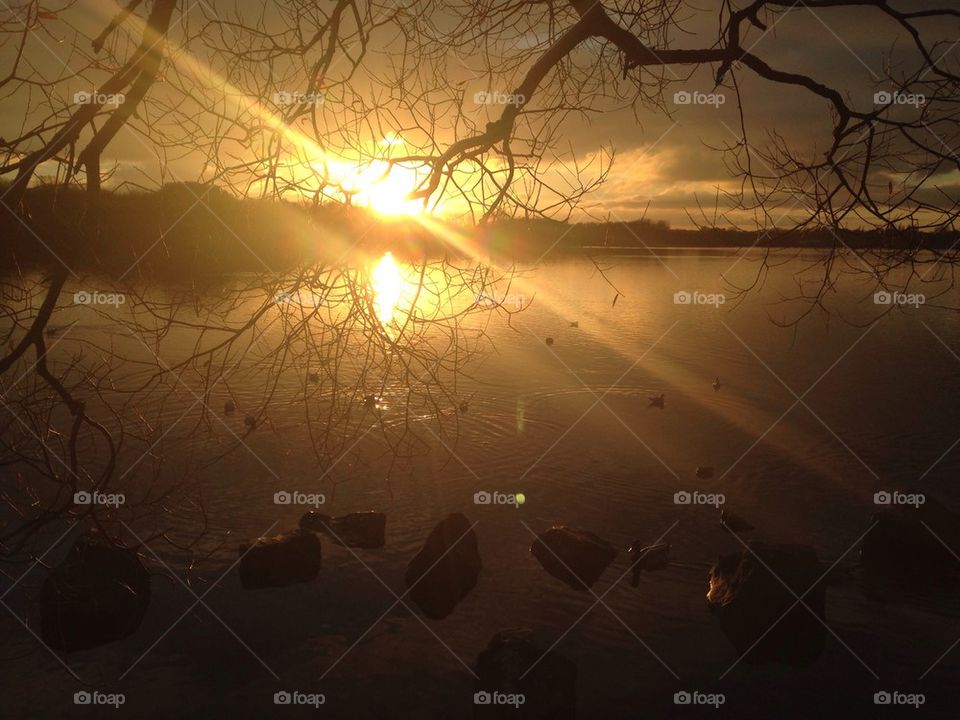 Sunset at Pennington flash country park from under the tree