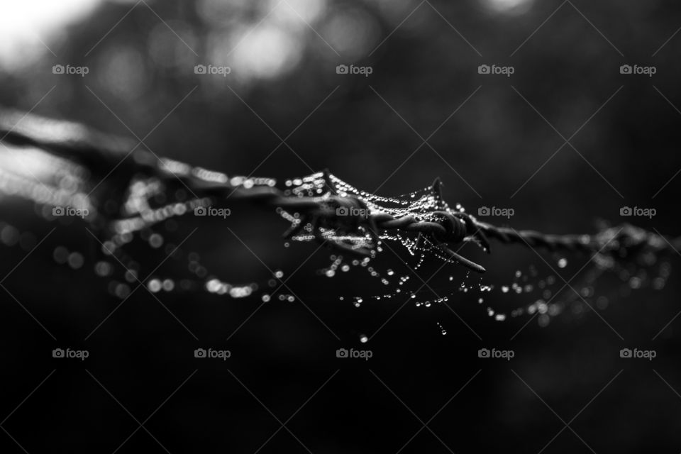 Monochromed barbed wire