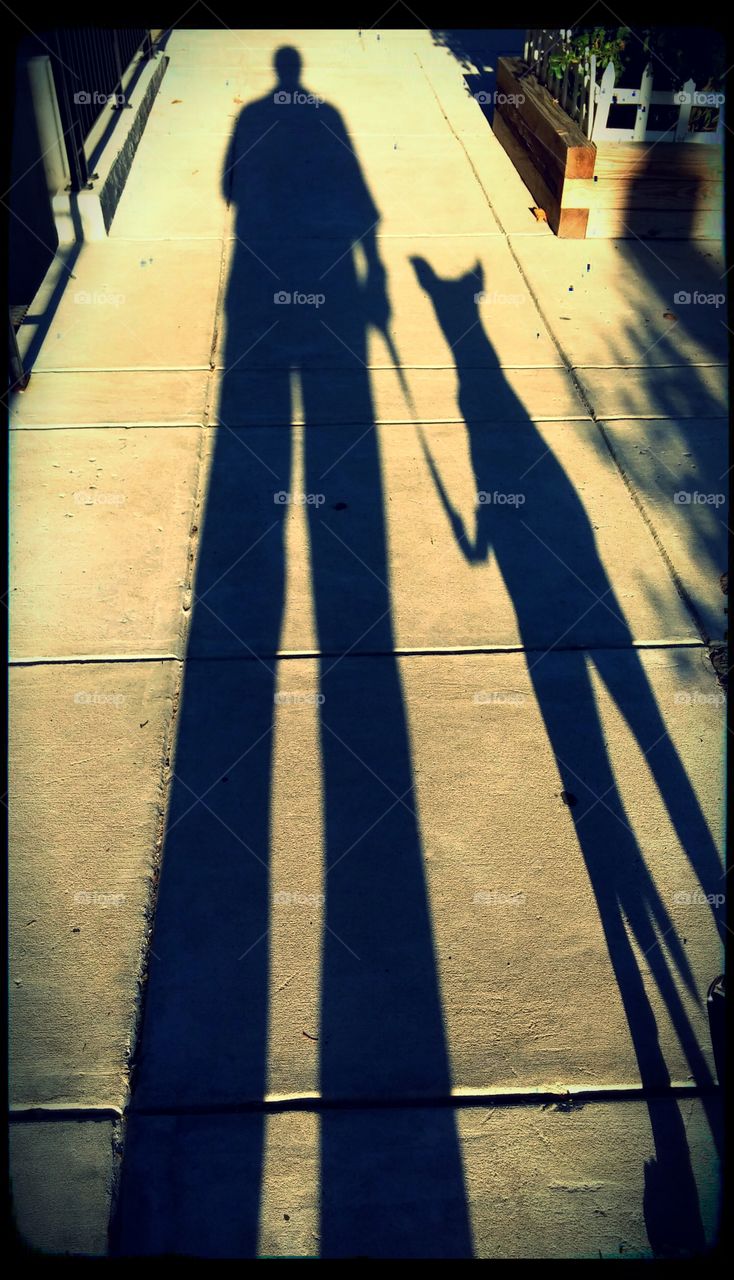 Shadow Image . Evening walk with Lucy