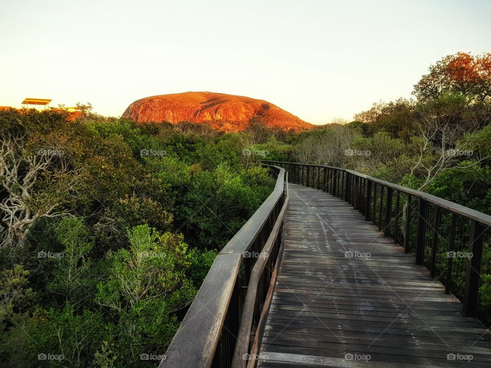 boardwalk & mount coolum