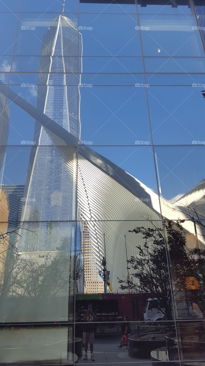 Oculus and Feedom Tower