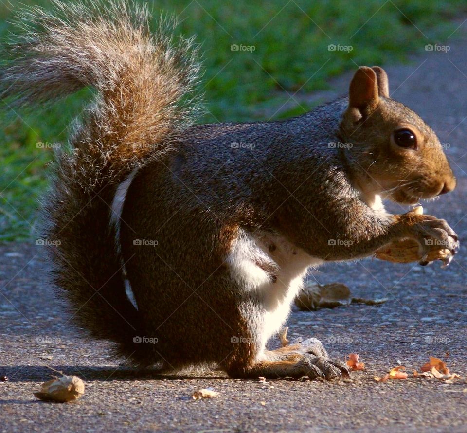 Snacktime for this friendly squirrel!!