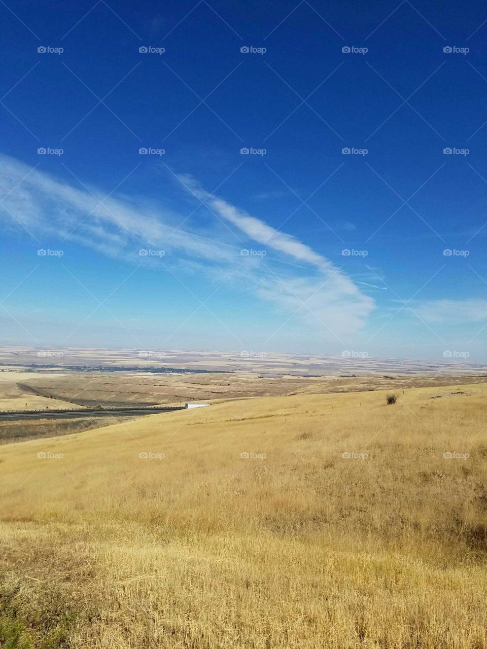 View of Field landscape