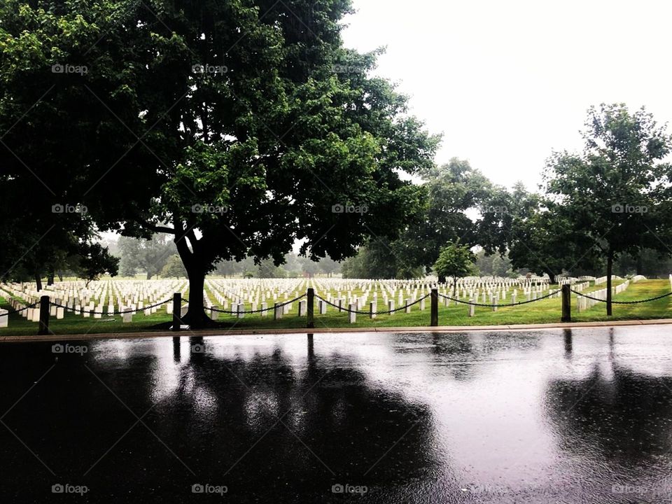 Somber graves in Arlington National Cemetary