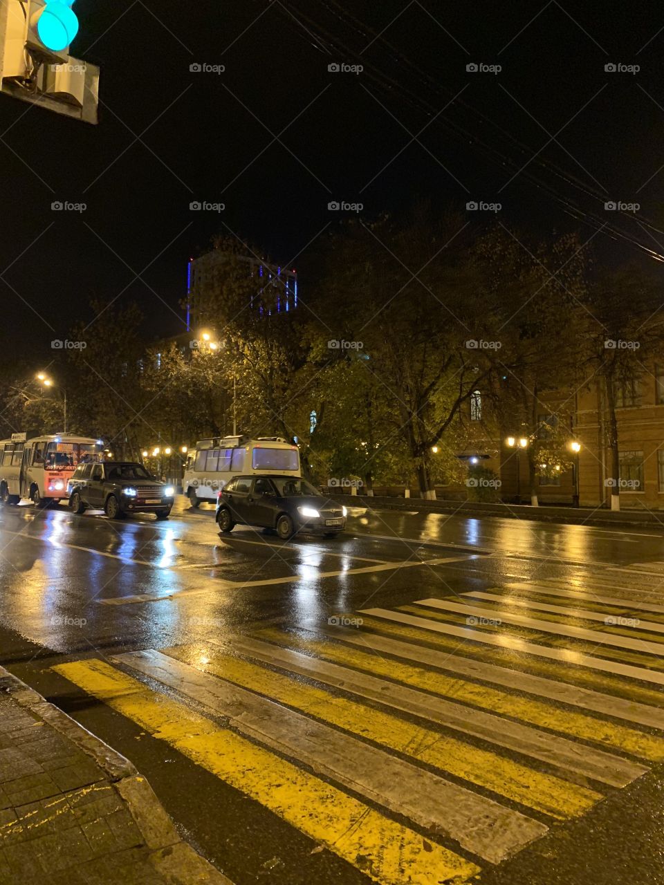 Crosswalk in the night city.
