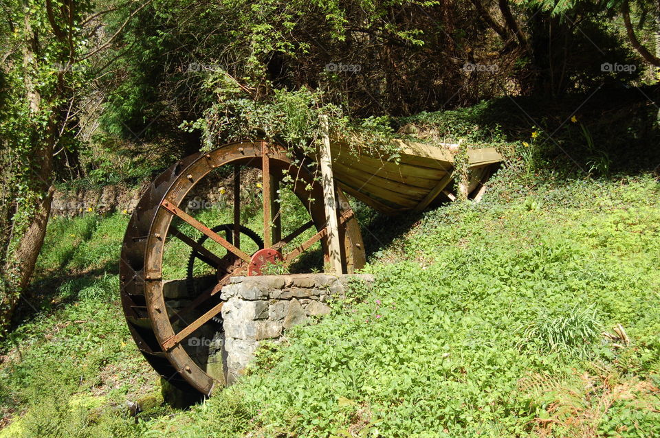 water wheel. photography day out, lucky find 