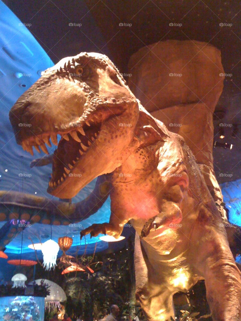 T-Rex Cafe in Disney Springs, Florida. T-Rex 🦖 on display.