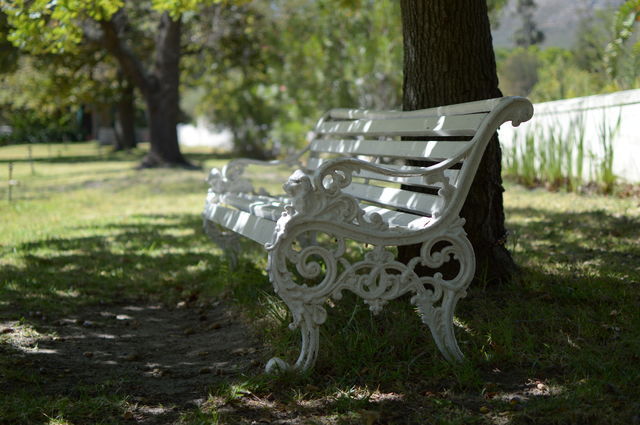 A white peaceful contemplation bench amongst the oak trees.