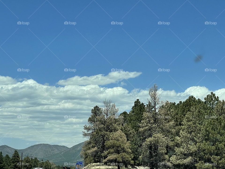 Combination of beautiful nature 