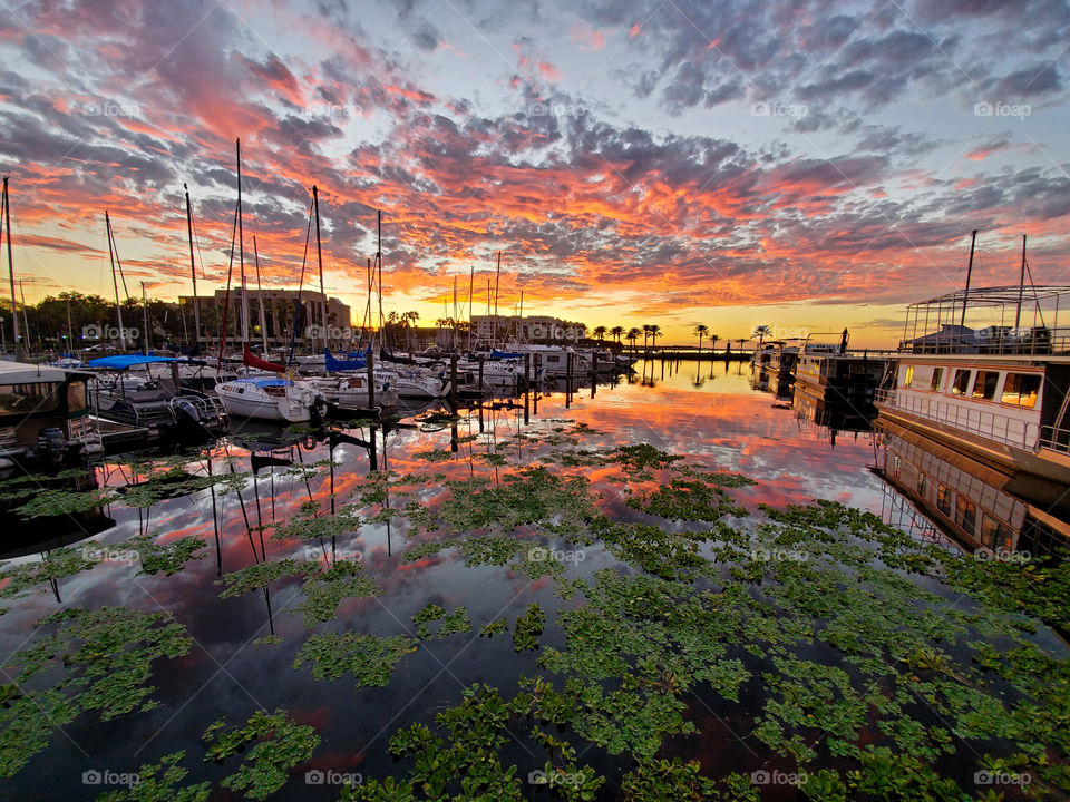 A beautiful and brilliant sky falls over a marina during a spectacular fall night in Florida