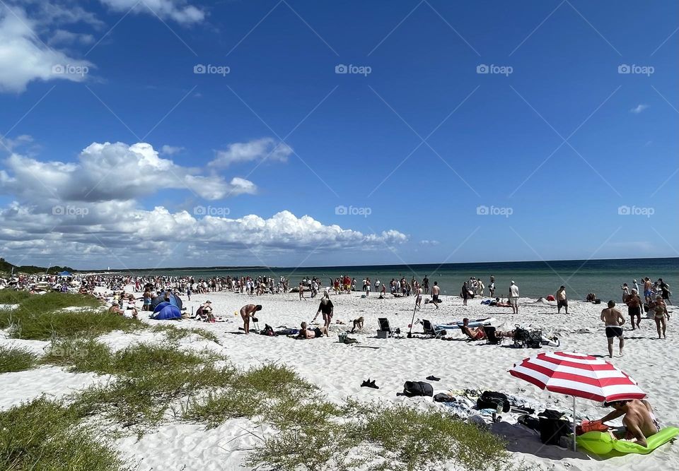 Summer by the beach