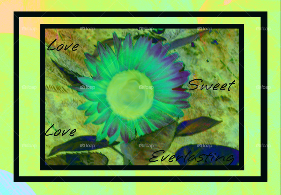 Abstract Digital Photography Art Titled: Love Sweet Love Everlasting By: Mia Lynn