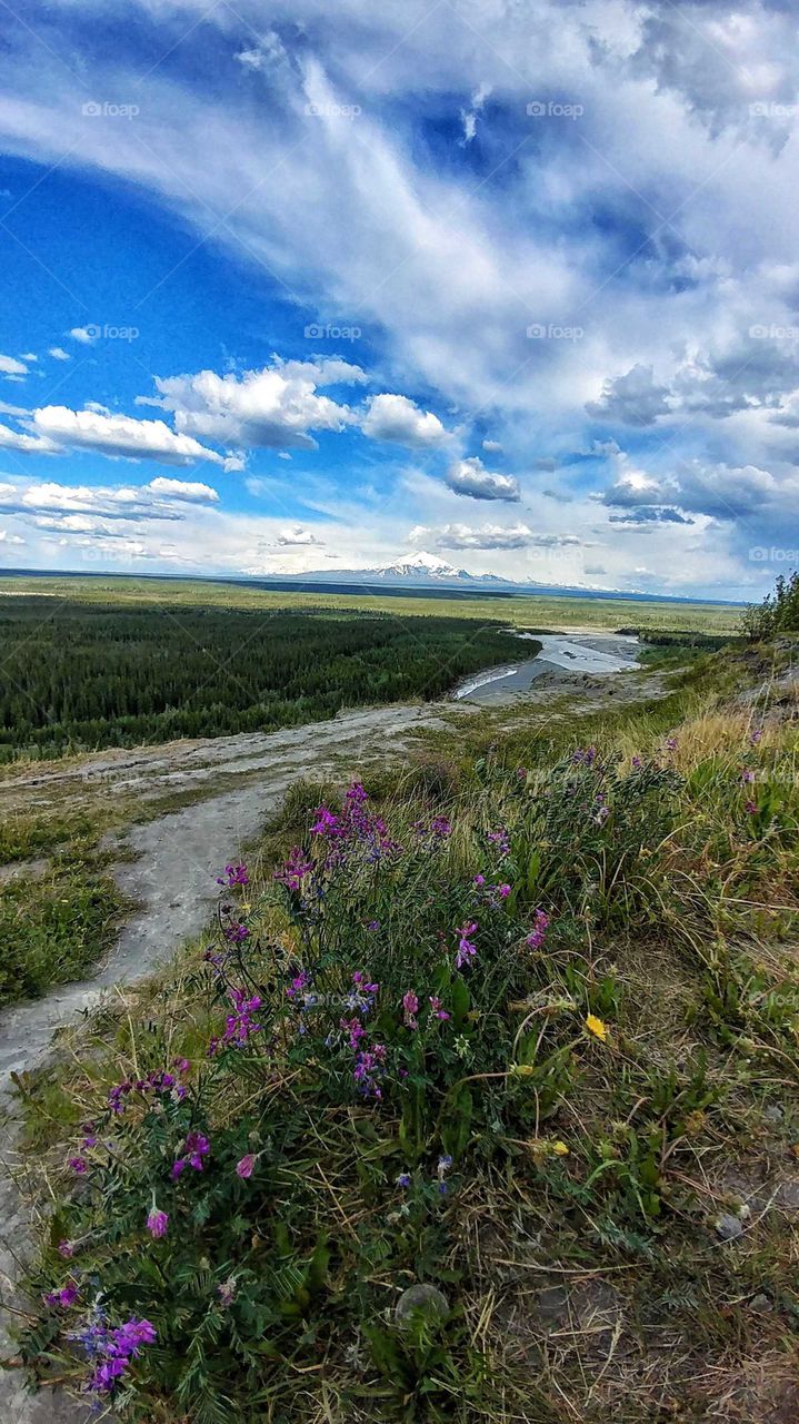 Stunning view of the Copper River flowing across the tundra from the Wrangell mountain range. Alaska in the summer.
