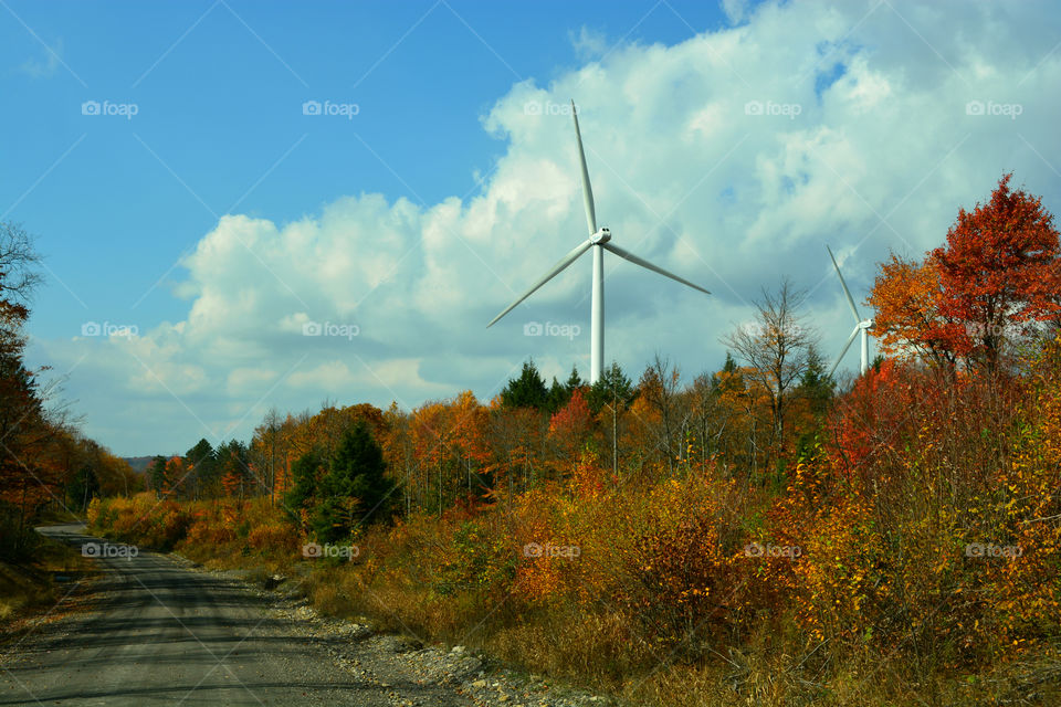 autumn windmill