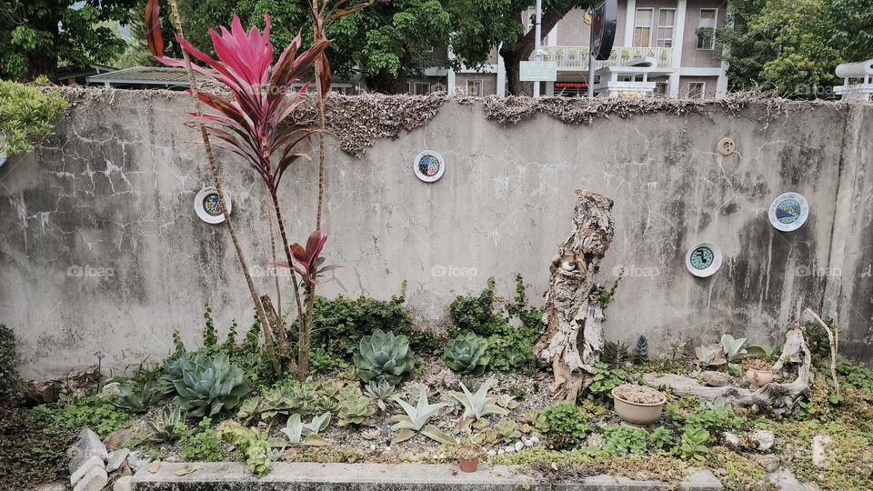 beautiful view of the park