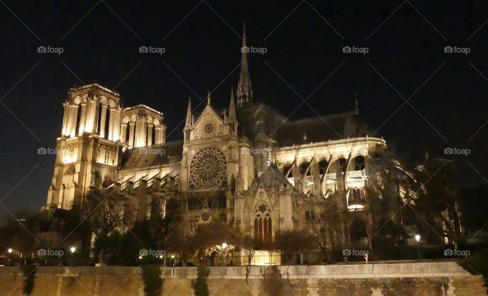 Amazing photos I took March 2019 of Notre-Dame Catholic Cathedral, one of France’s greatest National Monument, before it was ravaged by fire 🔥