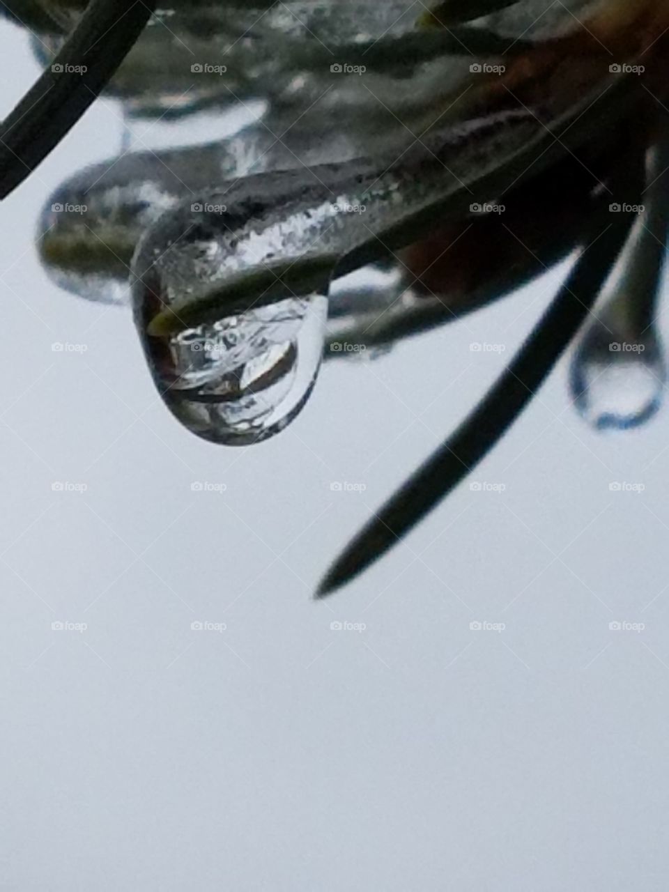 Water Drops