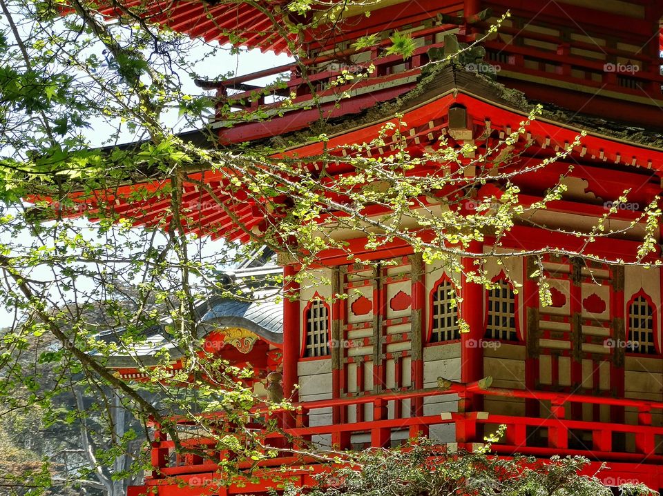 Elegant Japanese Pagoda. Beautiful Japanese Temple Painted In Red And Gold In A Serene Setting
