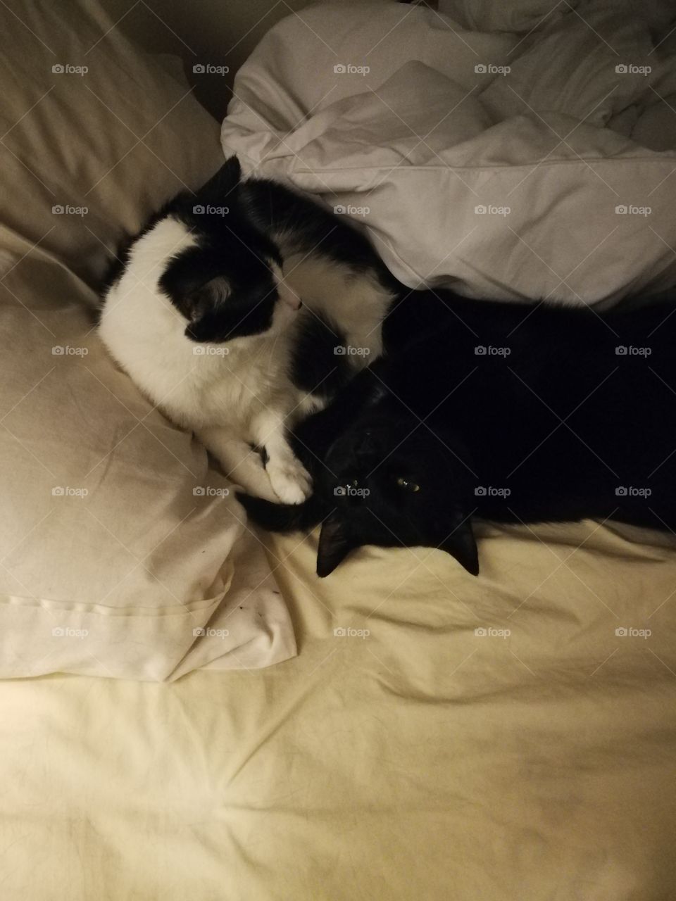 Brother and sisterly love