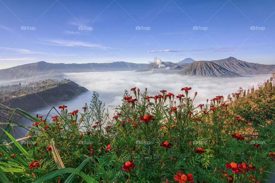 misty morning in seruni