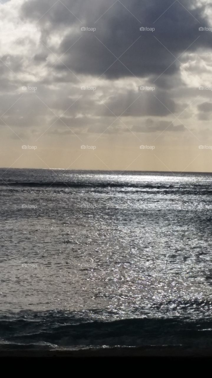 Waikiki Evenings