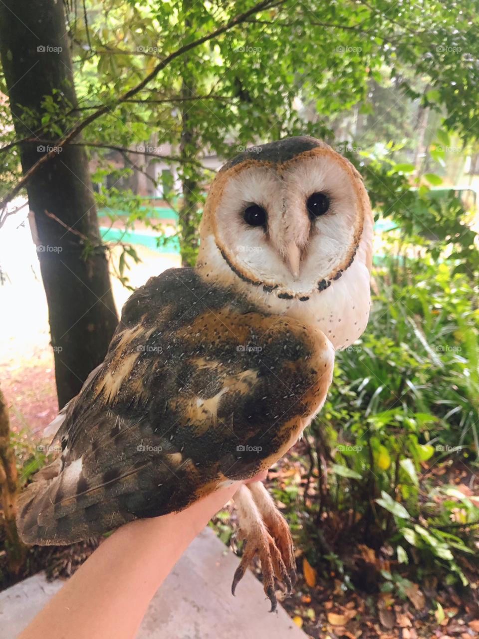 Beauty is in The details 