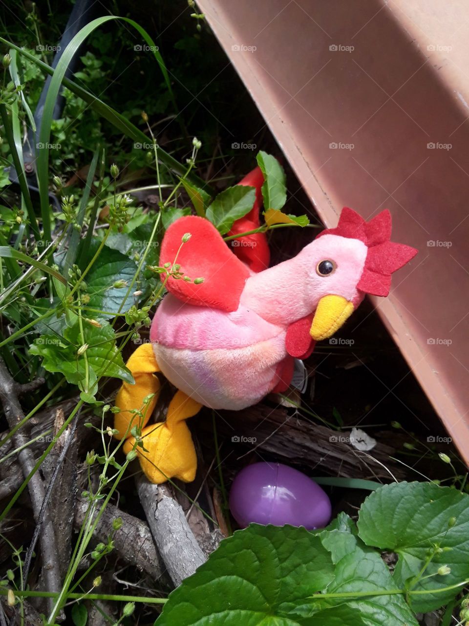 Stuffed Rooster with partly hidden Easter eggs.